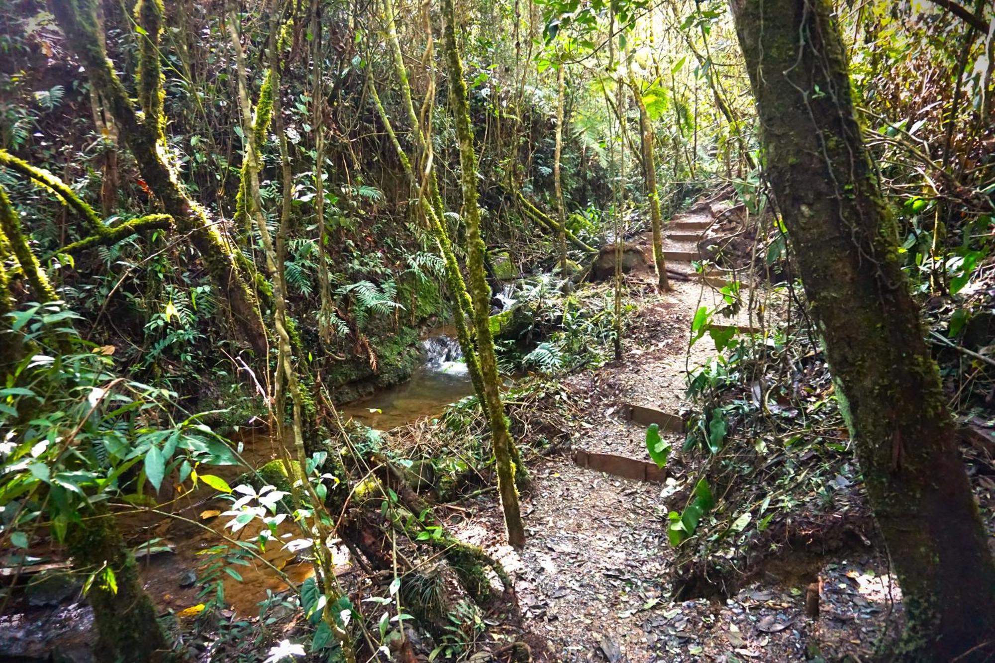 Encanto Minicasitas En Medio De La Naturaleza Санта-Элена Экстерьер фото