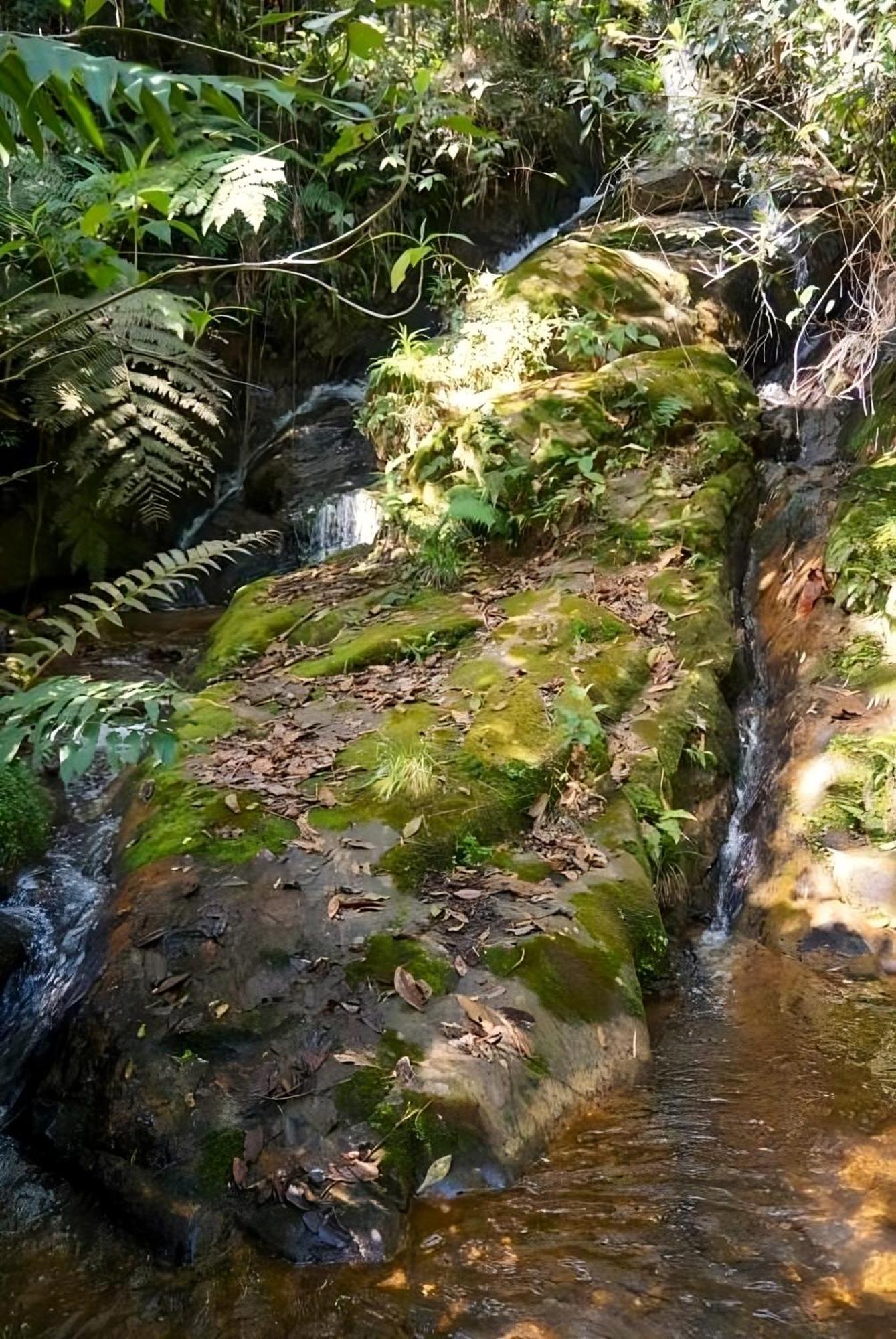 Encanto Minicasitas En Medio De La Naturaleza Санта-Элена Экстерьер фото