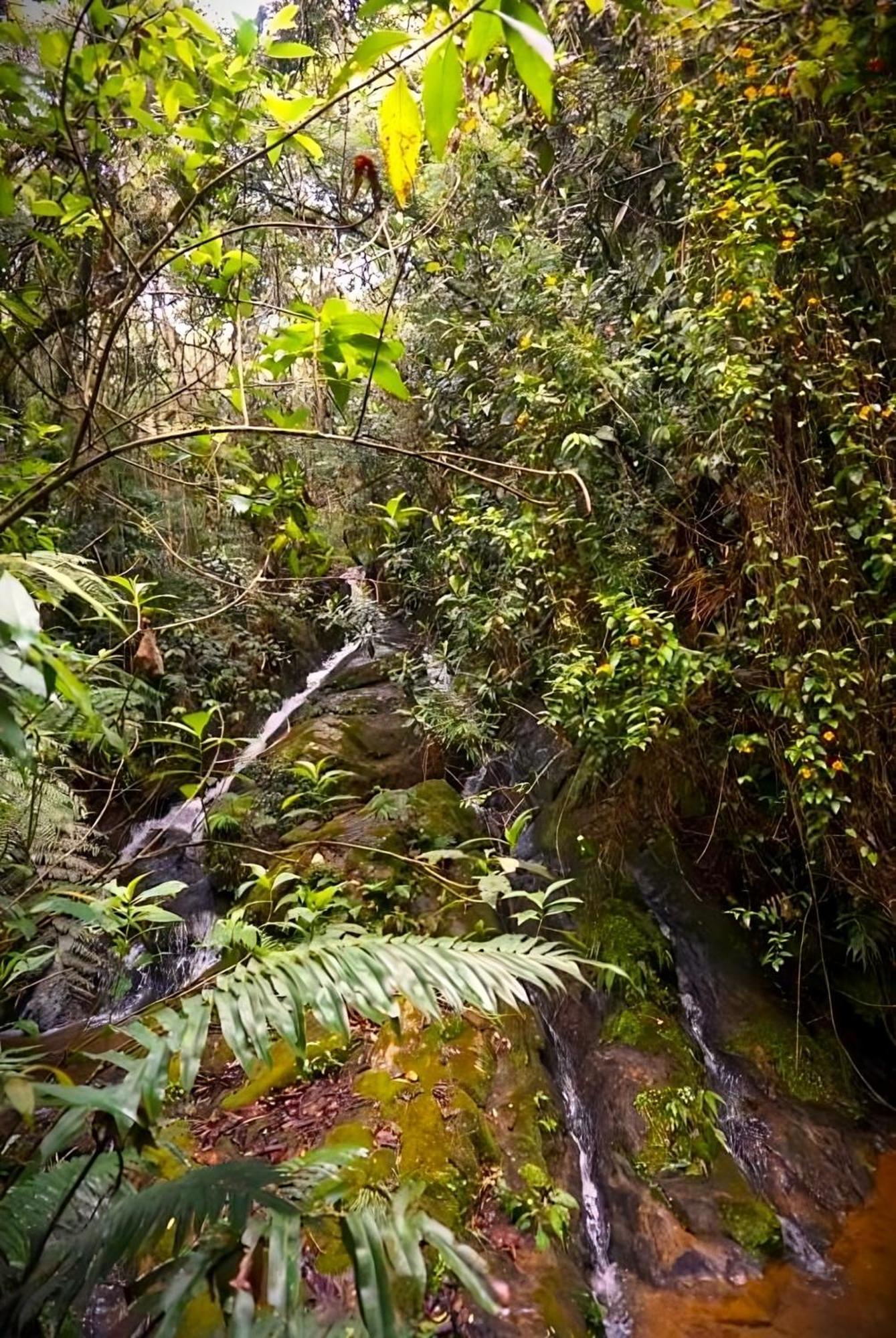 Encanto Minicasitas En Medio De La Naturaleza Санта-Элена Экстерьер фото