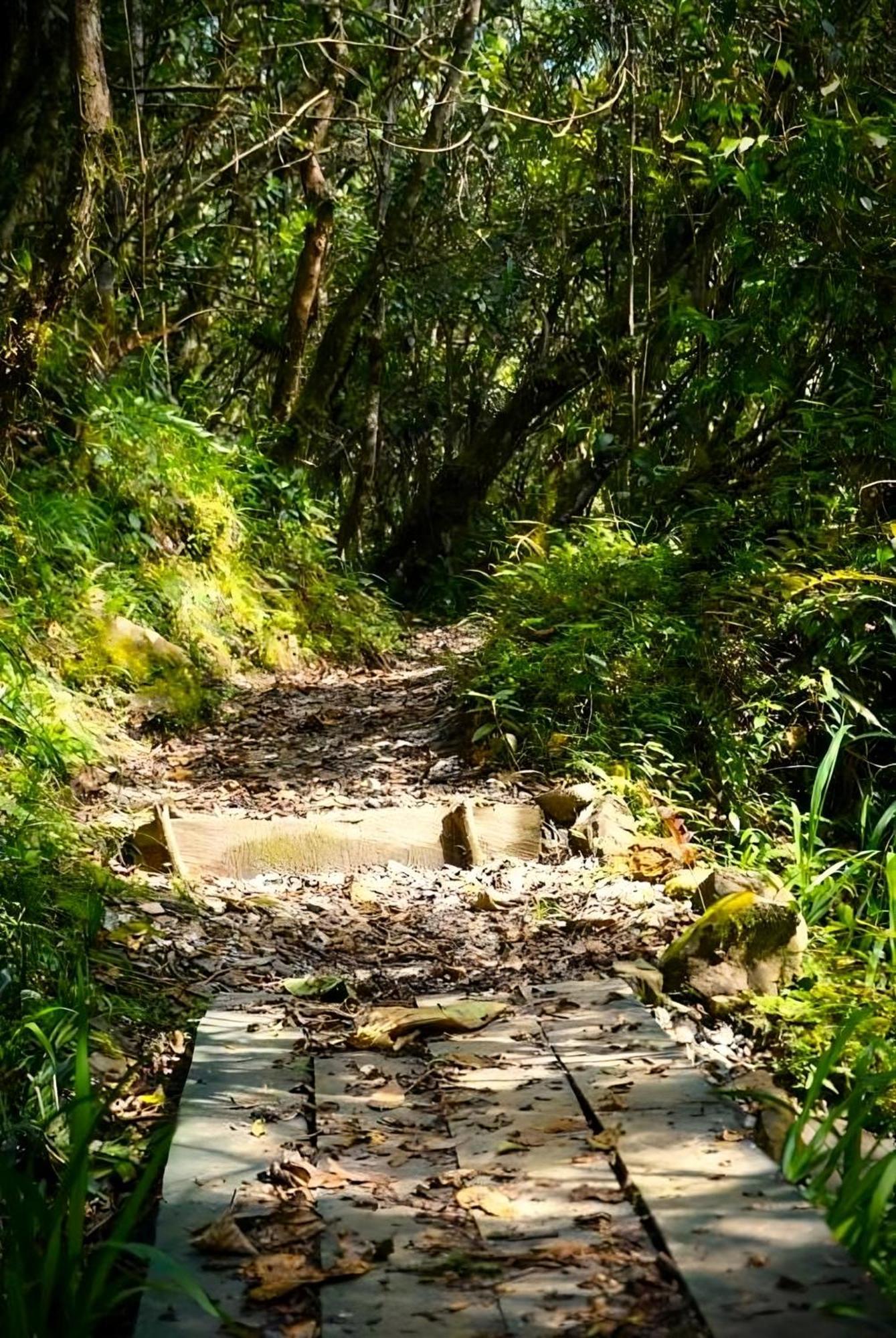Encanto Minicasitas En Medio De La Naturaleza Санта-Элена Экстерьер фото
