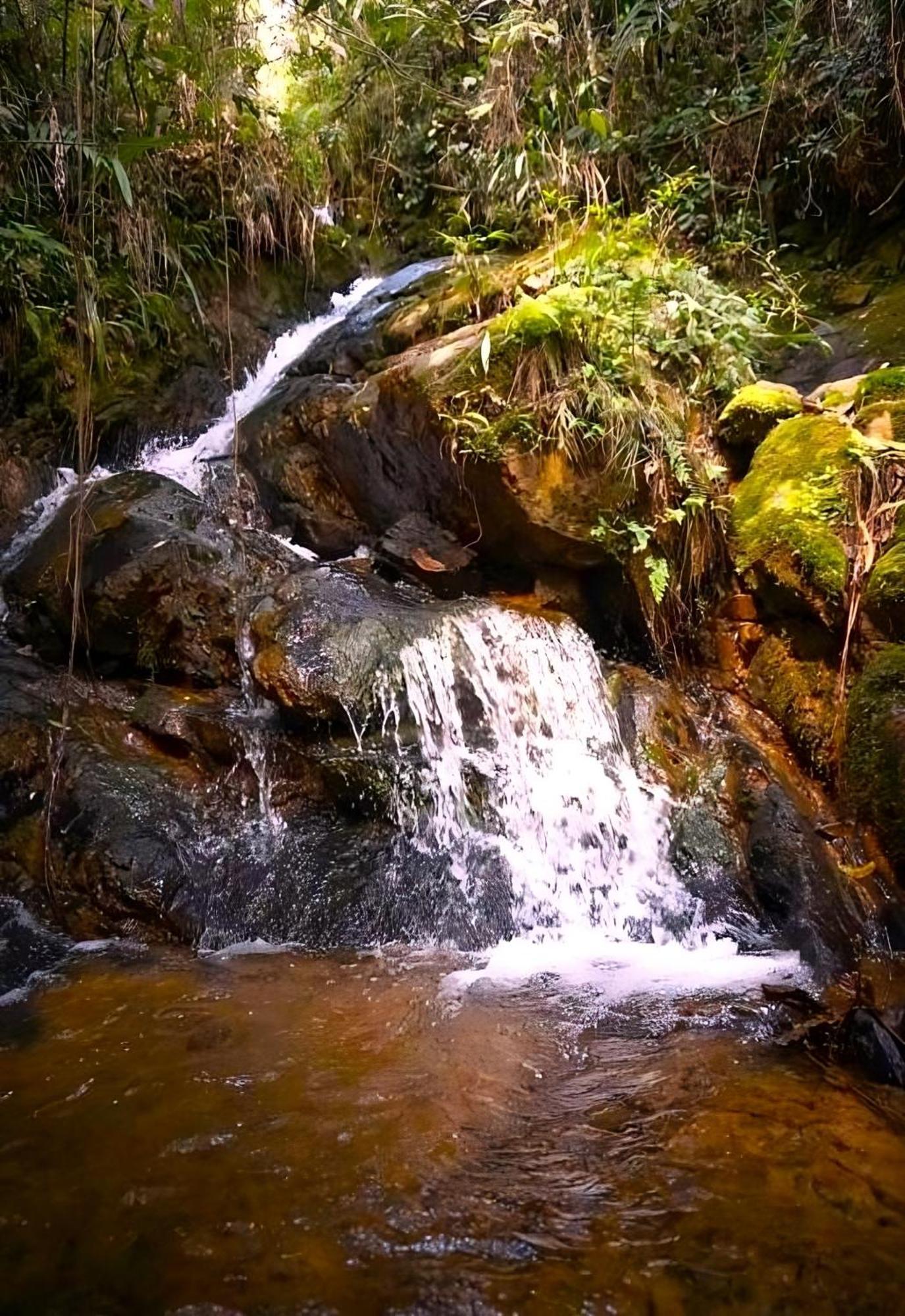 Encanto Minicasitas En Medio De La Naturaleza Санта-Элена Экстерьер фото