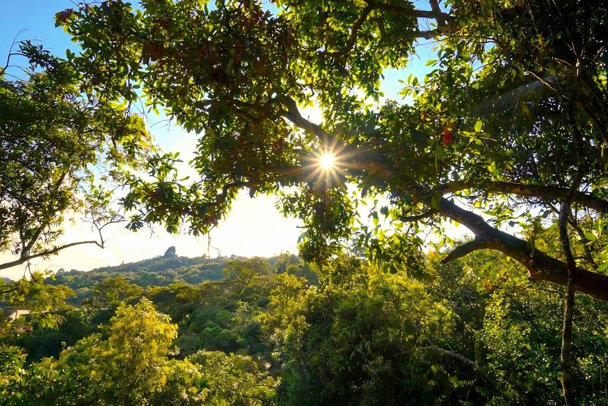 Encanto Minicasitas En Medio De La Naturaleza Санта-Элена Экстерьер фото