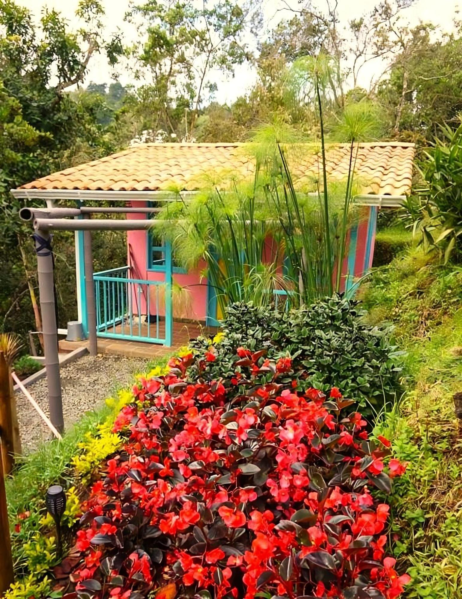Encanto Minicasitas En Medio De La Naturaleza Санта-Элена Экстерьер фото